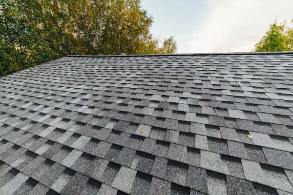 Roof Maintenance Services